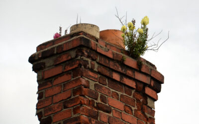 Reasons to get a Chimney Inspection