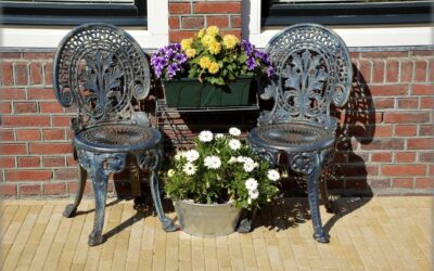 Tips for Novice Gardeners