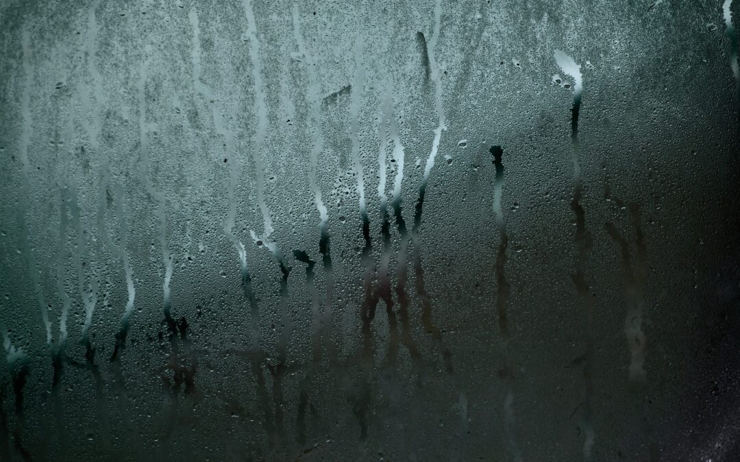 condensation on a window pane