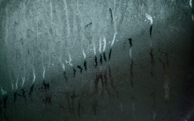 Condensation & Damp